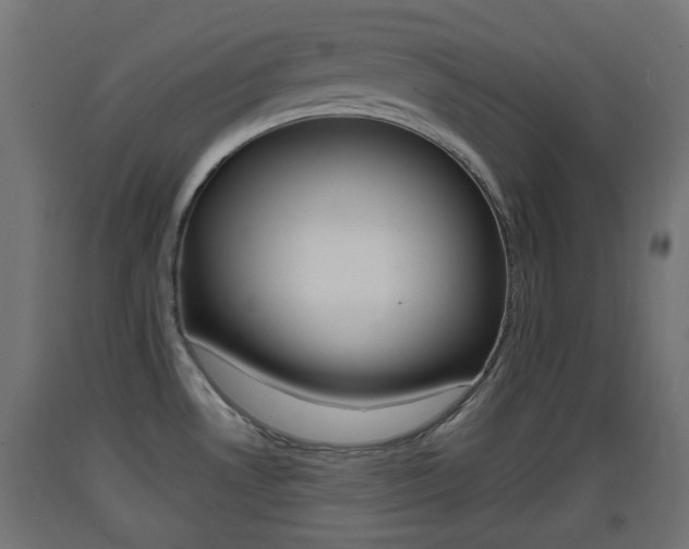X0000093401530200710120845