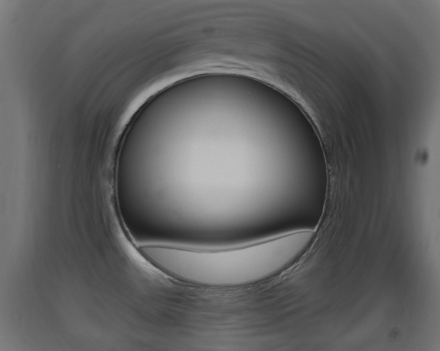 X0000093401531200710120845