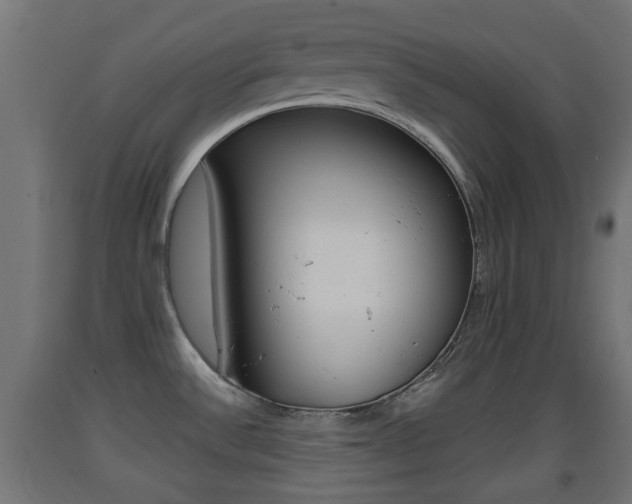 X0000093401532200710120845