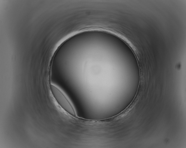 X0000093401534200710120845
