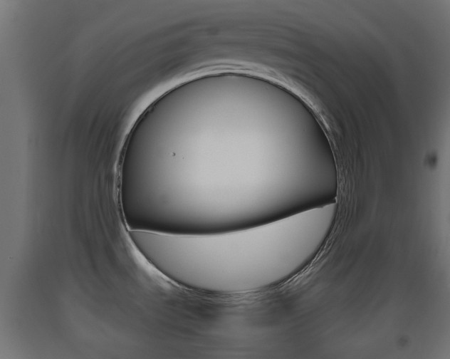 X0000093401535200710120845