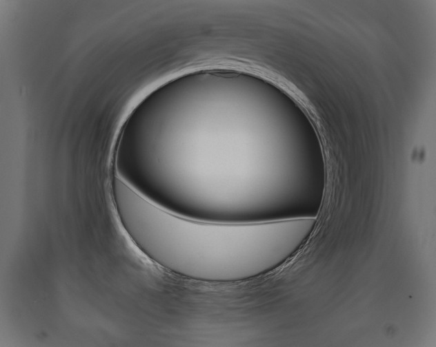 X0000093401536200710120845