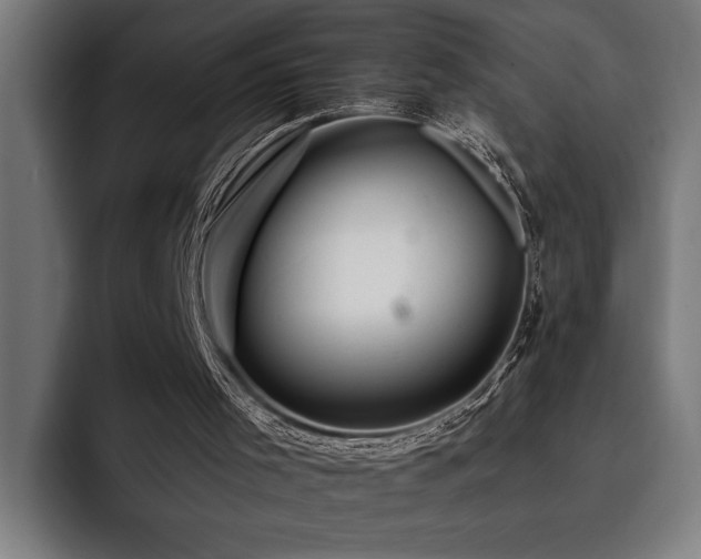 X0000093400001200710121107