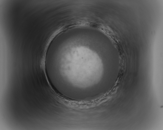 X0000093400003200710121107