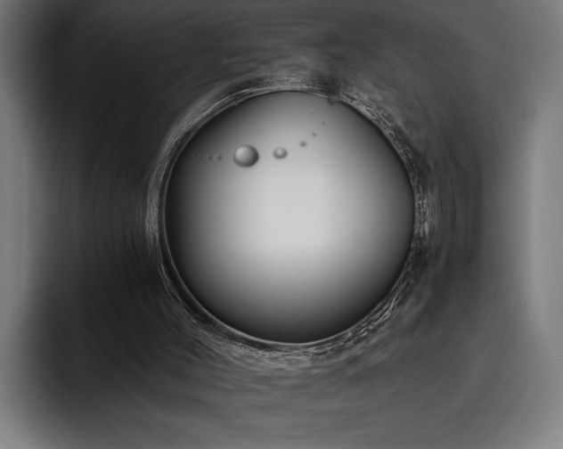 X0000093400004200710121107