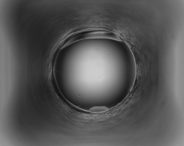 X0000093400005200710121107