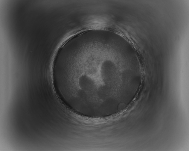 X0000093400006200710121107