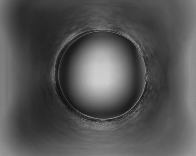 X0000093400008200710121107