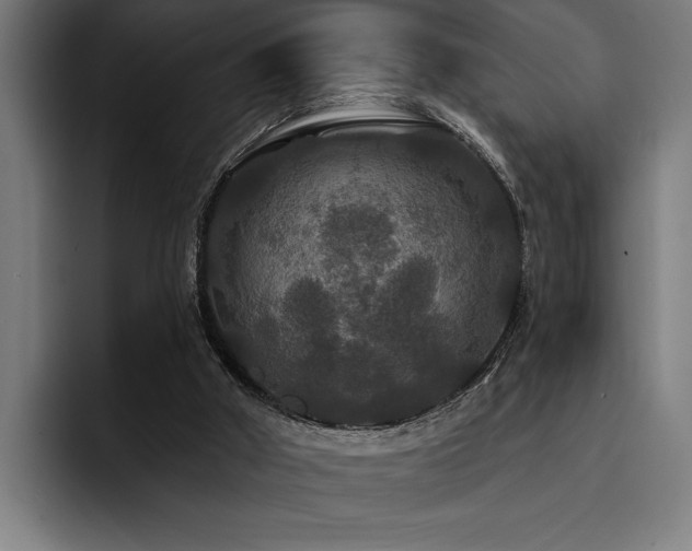 X0000093400010200710121107