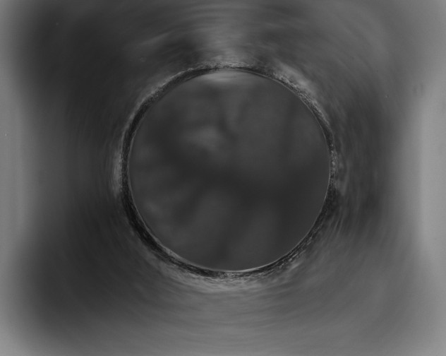X0000093400012200710121107