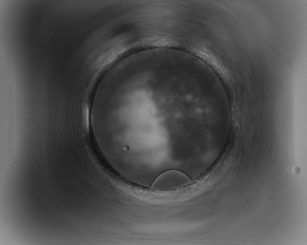 X0000093400014200710121107