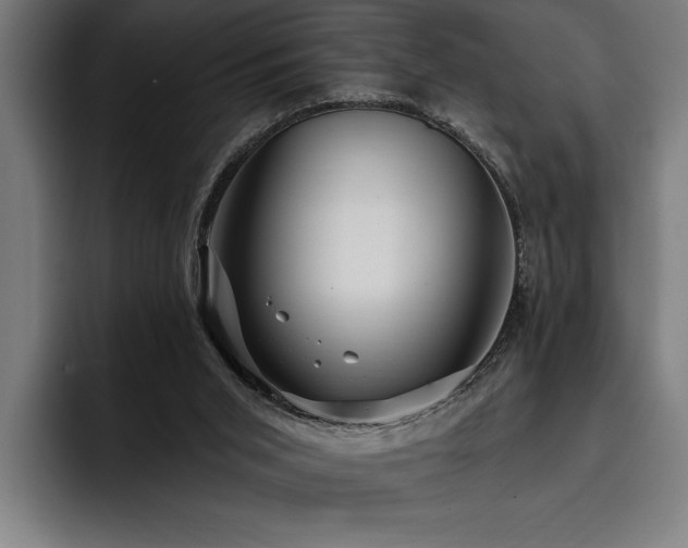 X0000093400015200710121107