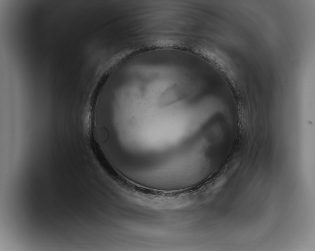 X0000093400016200710121107