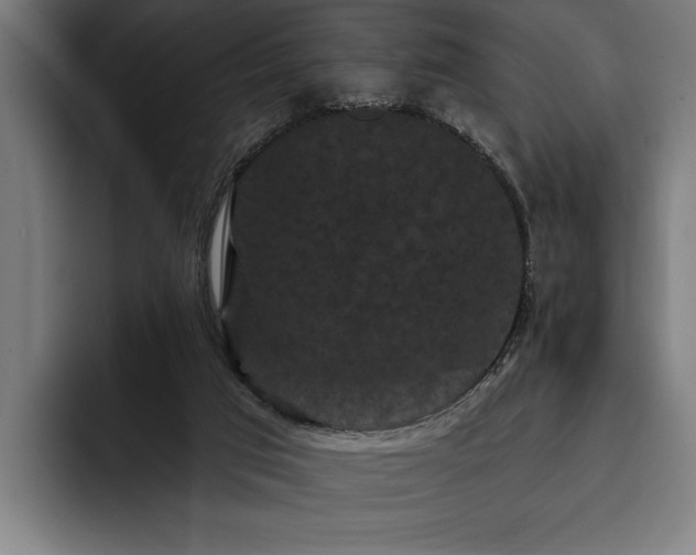 X0000093400017200710121107