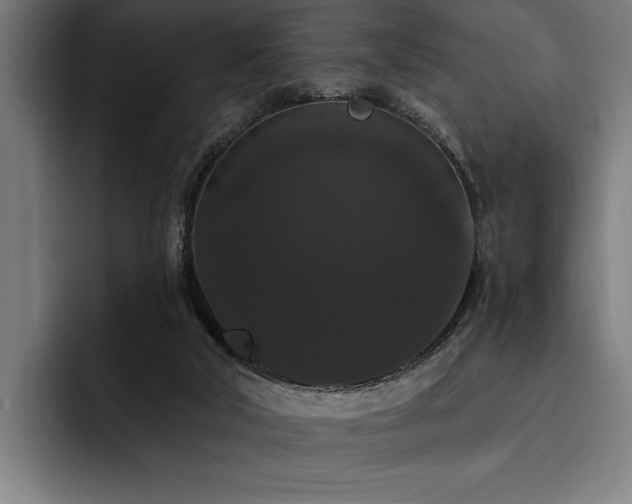 X0000093400018200710121107