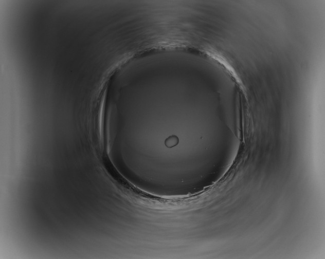X0000093400019200710121107