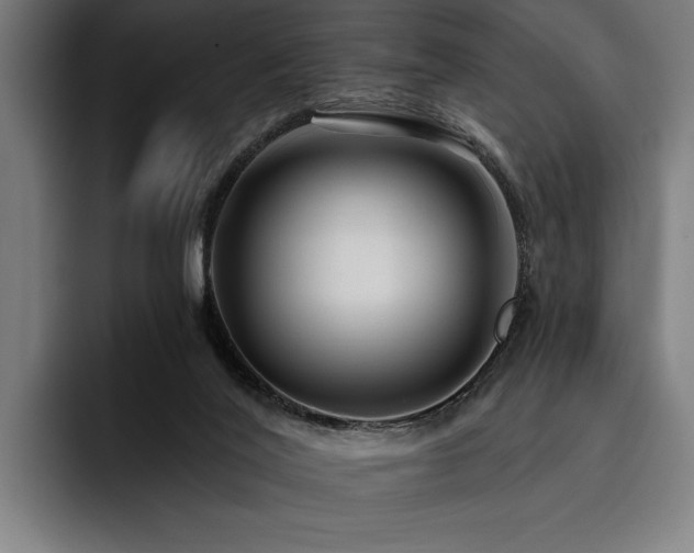 X0000093400020200710121107