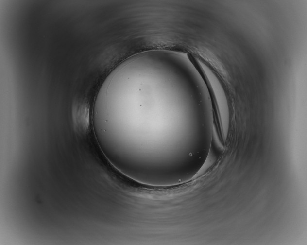 X0000093400021200710121107