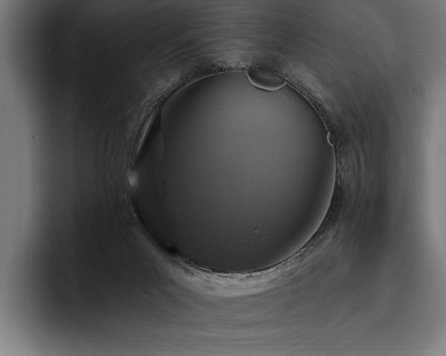 X0000093400023200710121107