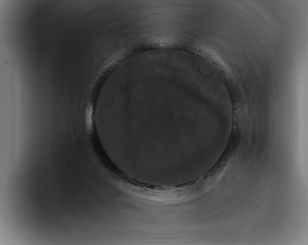 X0000093400024200710121107