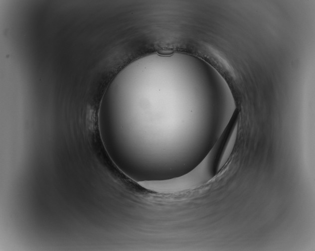 X0000093400025200710121107
