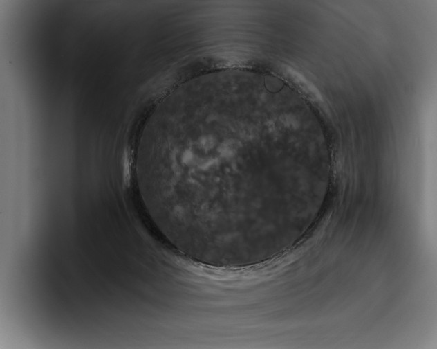 X0000093400026200710121107