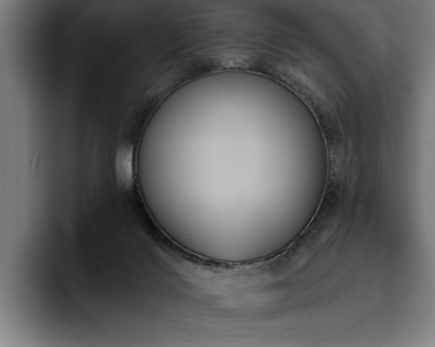 X0000093400028200710121107