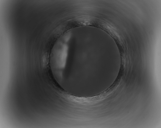 X0000093400030200710121107