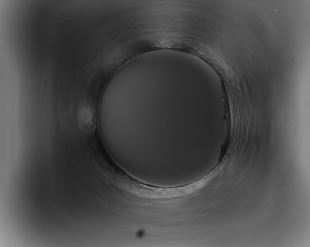 X0000093400031200710121107