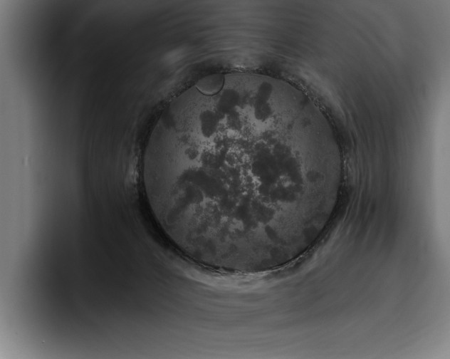 X0000093400032200710121107