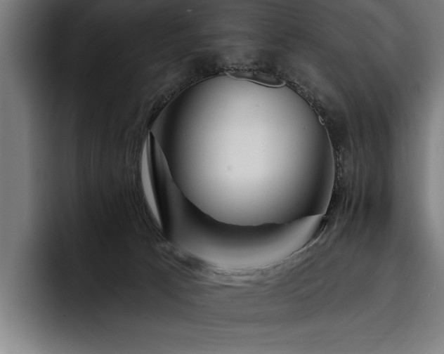 X0000093400033200710121107