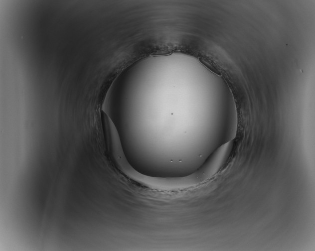 X0000093400037200710121107