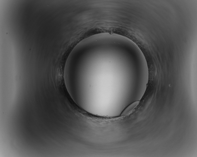 X0000093400040200710121107