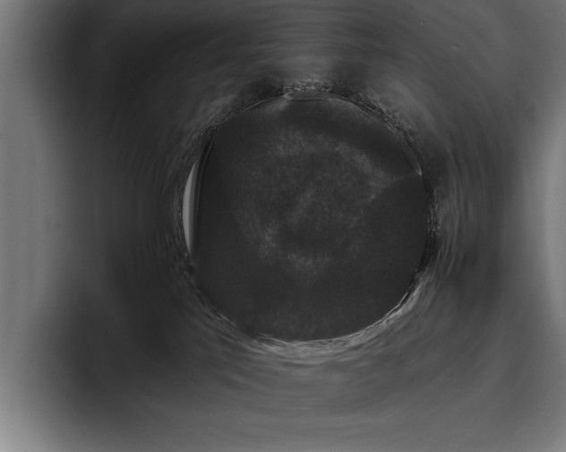 X0000093400041200710121107