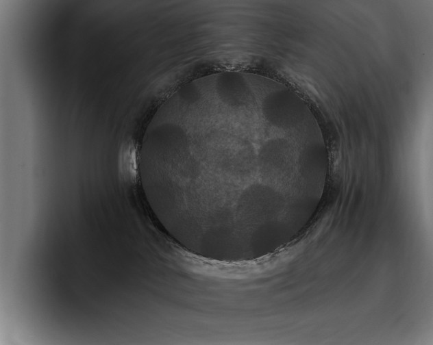 X0000093400042200710121107
