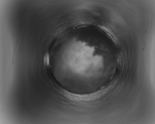 X0000093400046200710121107