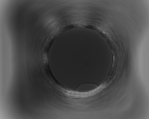 X0000093400048200710121107