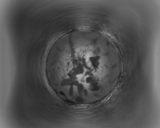 X0000093400049200710121106