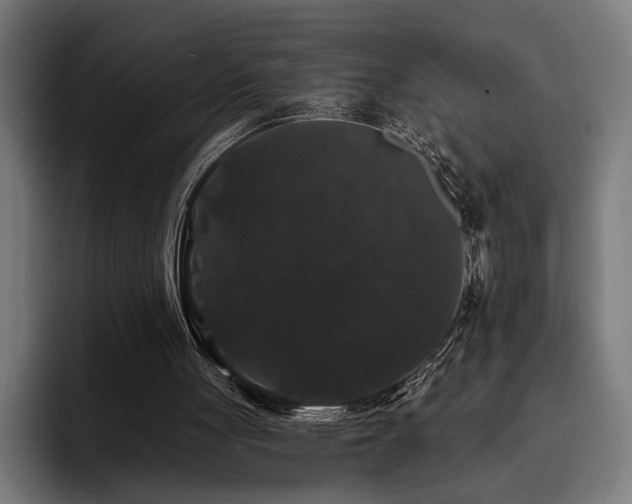 X0000093400051200710121106
