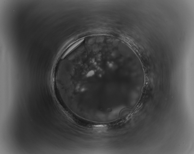 X0000093400053200710121106