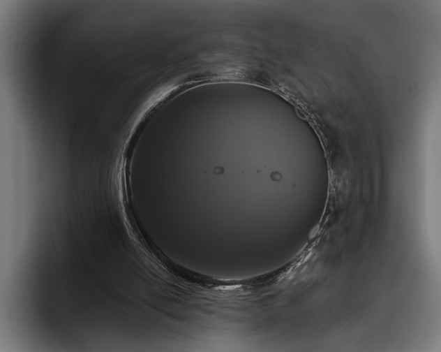 X0000093400054200710121106