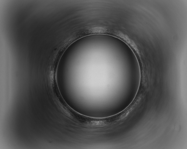 X0000093400057200710121106