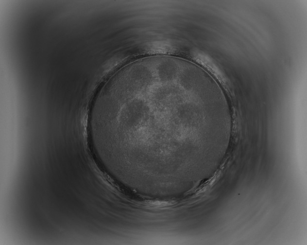 X0000093400058200710121106