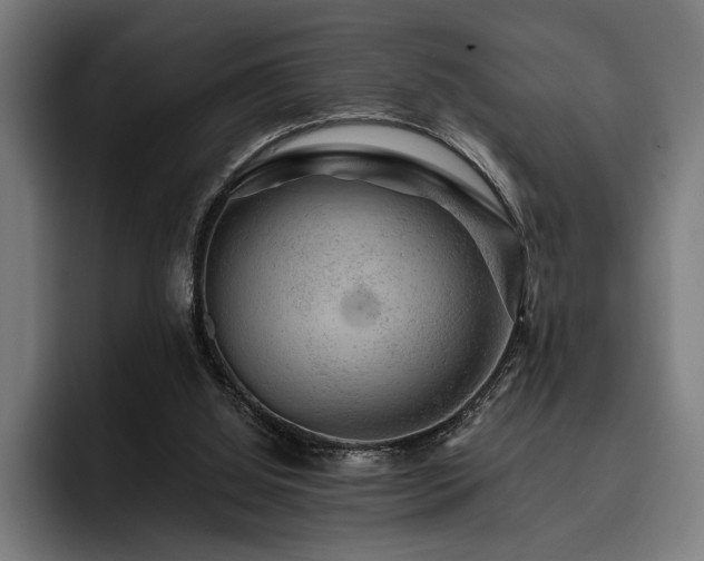 X0000093400060200710121106