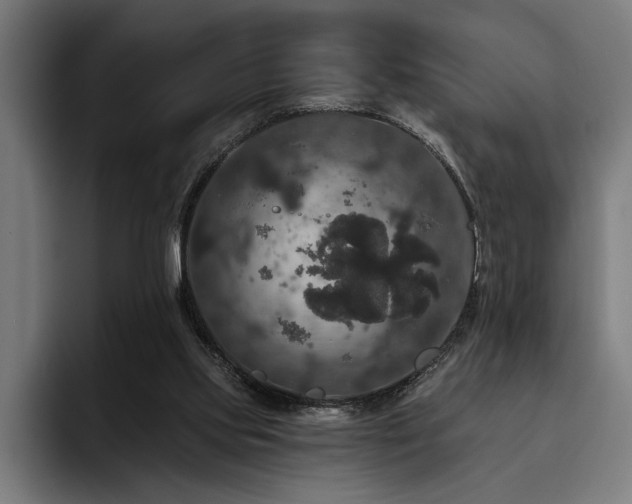 X0000093400061200710121106