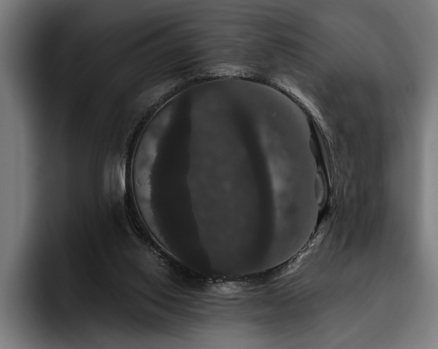 X0000093400062200710121106