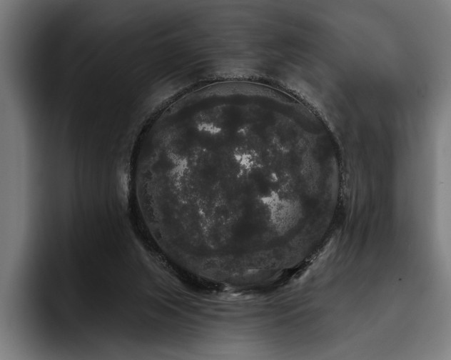X0000093400063200710121106