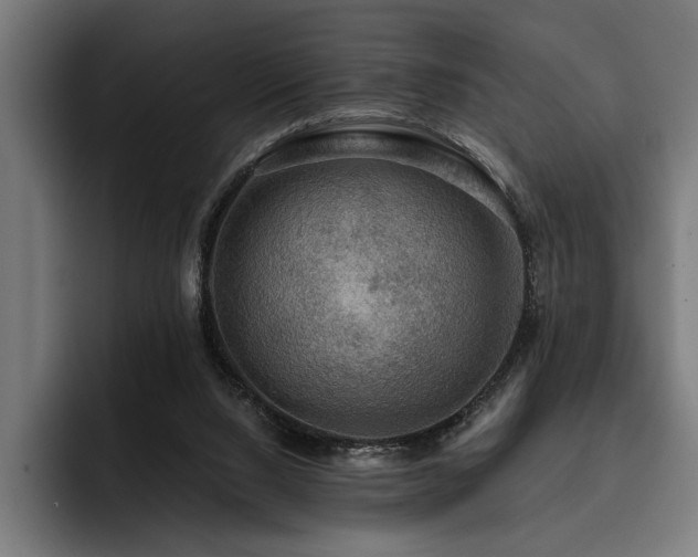 X0000093400064200710121106