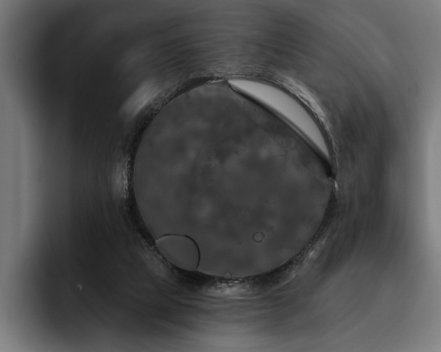 X0000093400065200710121106