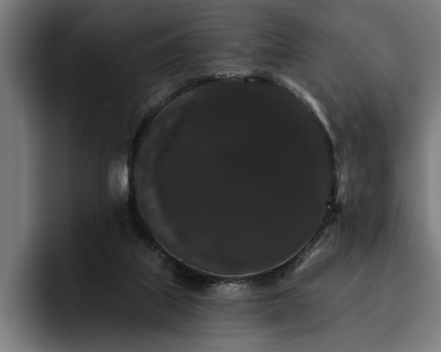 X0000093400067200710121106